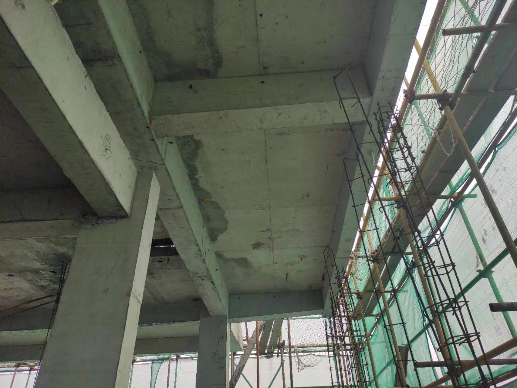 1655895483358001.jpg 2.jpg